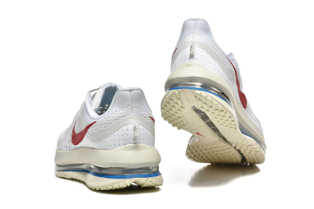 Nike Pegasus Premium Shoes Forrest Gump