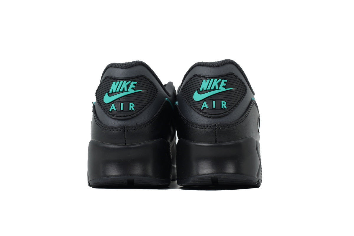 Air Max 90 "Black Clear Jade" (Black Tiffany)