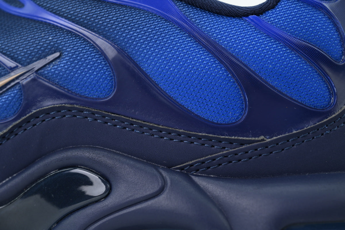 Nike Air Max Plus OG "French Football Federation" Sneakers