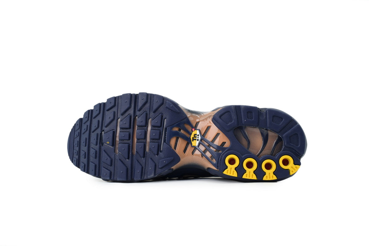 Nike Air Max Plus OG "French Football Federation" Sneakers