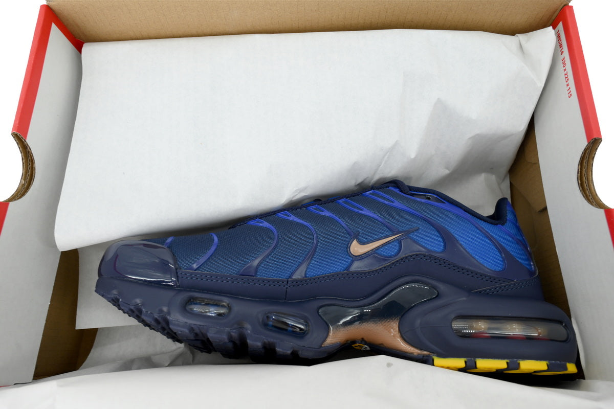 Nike Air Max Plus OG "French Football Federation" Sneakers