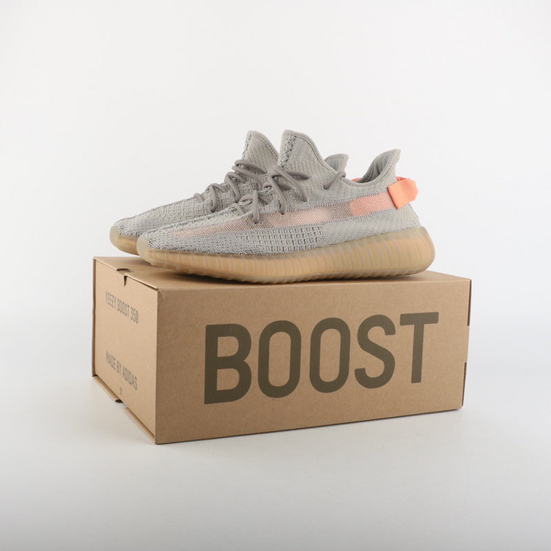 Adidas Yeezy Boost 350 V2 True Form
