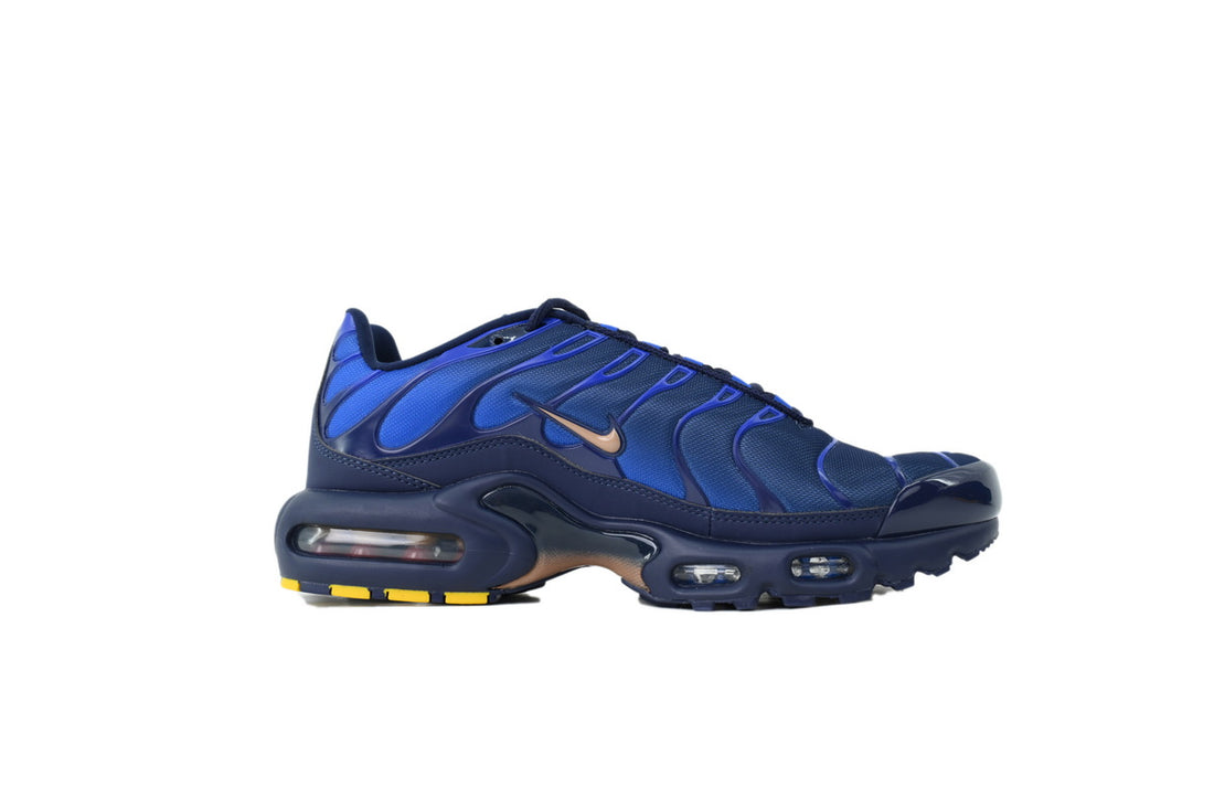 Nike Air Max Plus OG "French Football Federation" Sneakers